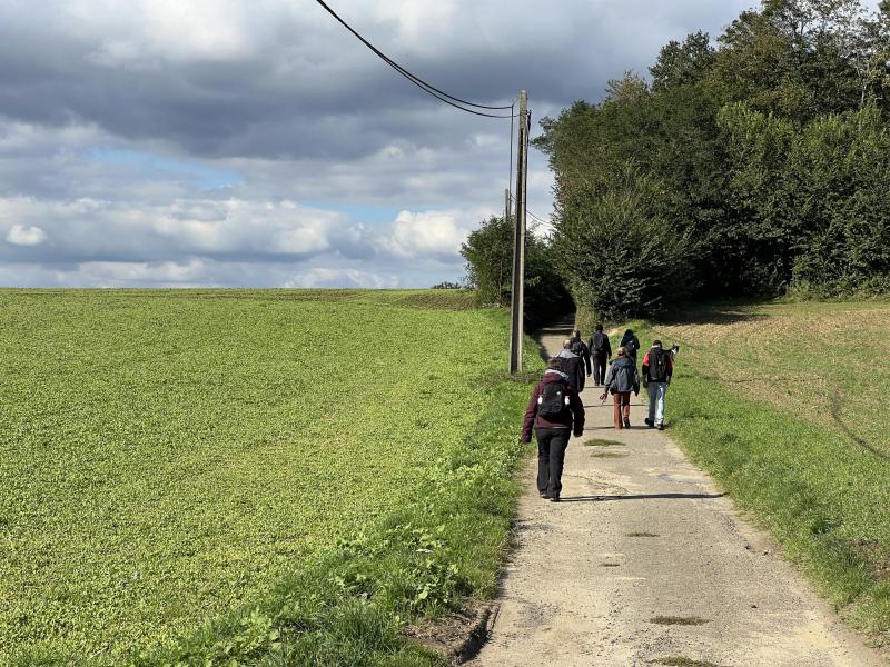 Wandeling in Meerbeek met, Jan , Floris, Guy, Brigitte , Ilse , Frieda, Chris D, Hedwig , Kristof, Chris DG, en honden Tiana, Aiko © Chris De Groote