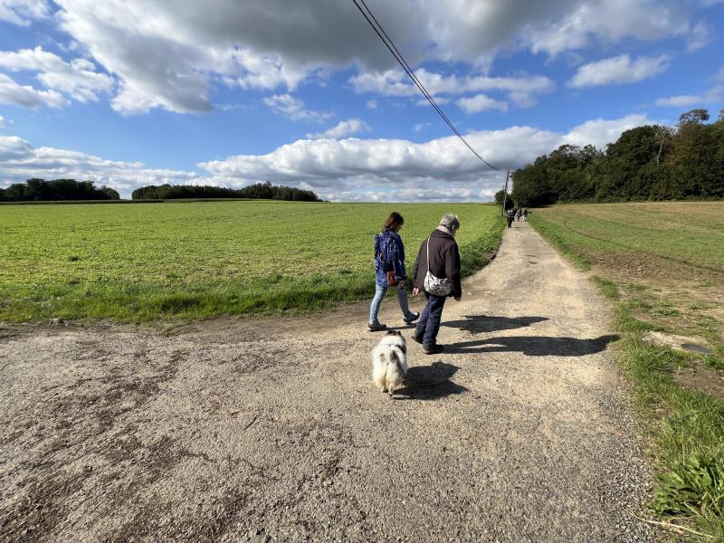 Wandeling in Meerbeek met, Jan , Floris, Guy, Brigitte , Ilse , Frieda, Chris D, Hedwig , Kristof, Chris DG, en honden Tiana, Aiko © Chris De Groote