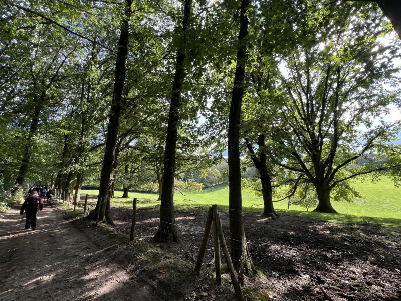Wandeling in Meerbeek met, Jan , Floris, Guy, Brigitte , Ilse , Frieda, Chris D, Hedwig , Kristof, Chris DG, en honden Tiana, Aiko © Chris De Groote