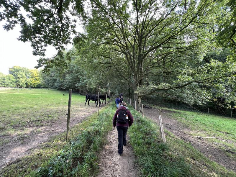 Wandeling in Meerbeek met, Jan , Floris, Guy, Brigitte , Ilse , Frieda, Chris D, Hedwig , Kristof, Chris DG, en honden Tiana, Aiko © Chris De Groote