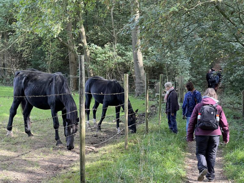 Wandeling in Meerbeek met, Jan , Floris, Guy, Brigitte , Ilse , Frieda, Chris D, Hedwig , Kristof, Chris DG, en honden Tiana, Aiko © Chris De Groote