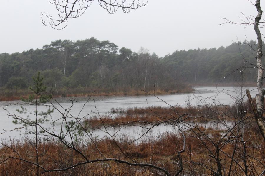 coolproject met natuurgids 
