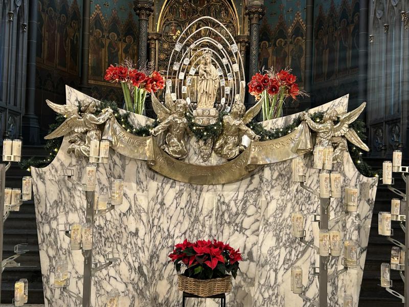 Onze-Lieve-Vrouw van Dadizele © zrmm