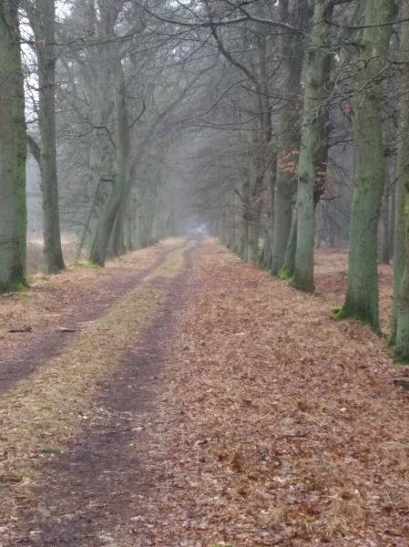 coolproject met natuurgids 