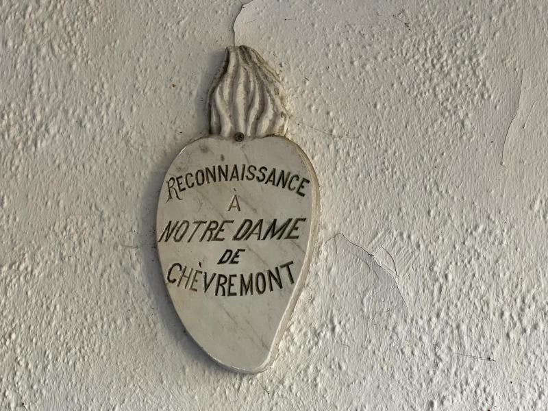 Kleine Zielen uit Leuven op bedevaart in Chèvremont © Chris De Groote