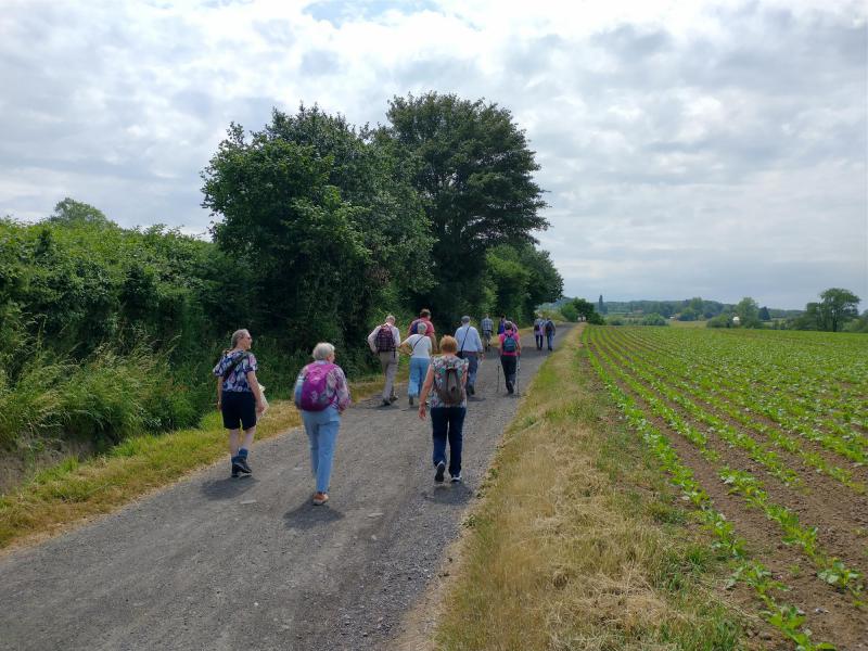 Ecokerk wandeling Heuvelland © Mattias Lelie