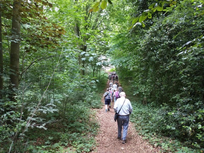 Ecokerk wandeling Heuvelland © Mattias Lelie