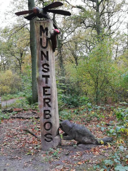 munsterbos © Bart van Gruisen