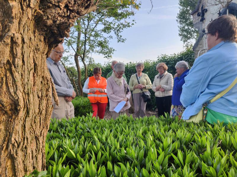 Rozenkransgebed kapelletjes Kruishoutem - Oudenaardsestwg. © J.T.