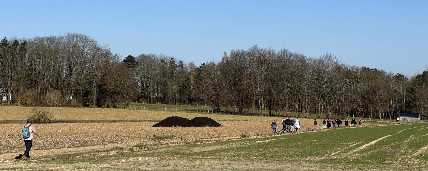 Wandeling nabij wijk Schoonzicht, Winksele © Chris De Groote