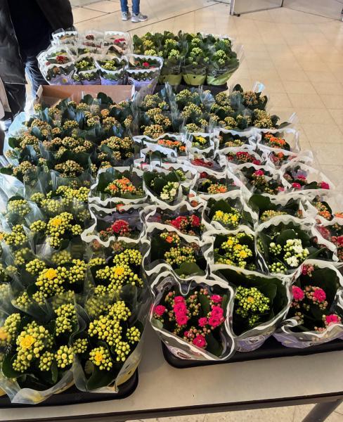 O.-L.-V. ter Duinenkerk © C.W.