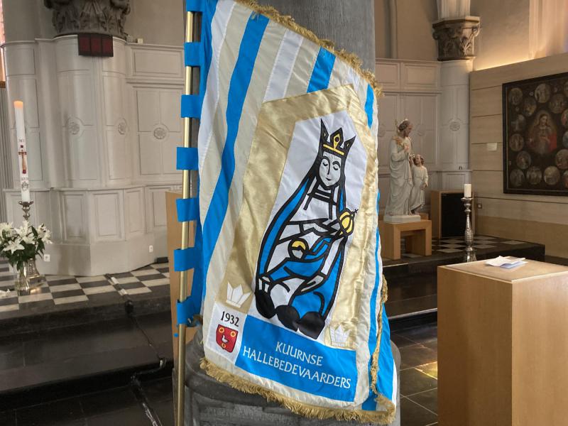 Vlag Hallebedevaarders © Hans van Hove