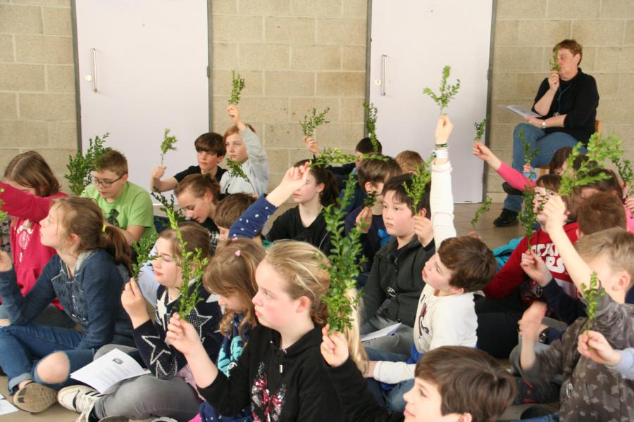 Vieren met een palmtakje in de hand 