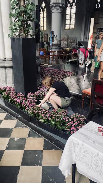 bloemen 2022 10 © Dirk Vanetelbosch 