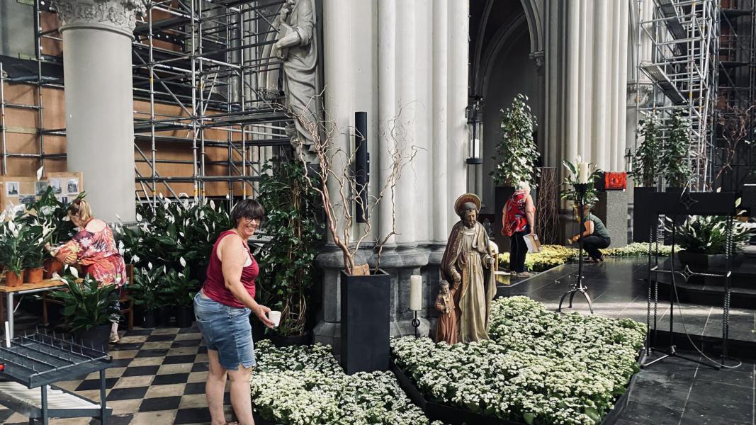 Bloemen 2022 9  © Dirk Vanetelbosch 