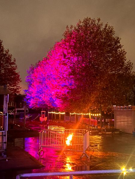 Sint-Maarten © Wim Van Ranst