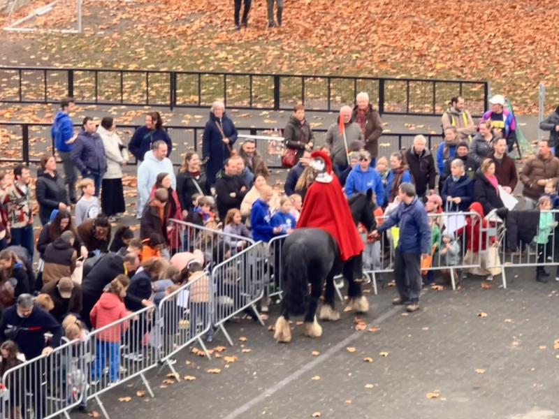 Sint-Maarten © Wim Van Ranst