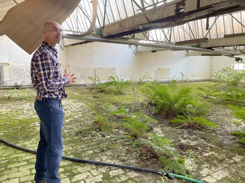 De natuur neemt het over in de oude lingeriefabriek van Velba, maar dat vindt Tom Verhoeven net de gedroomde setting voor kunst. © Lieve Wouters