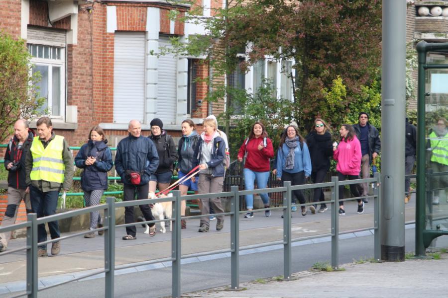 Bedevaart naar Halle © Olivier Vanden Avont