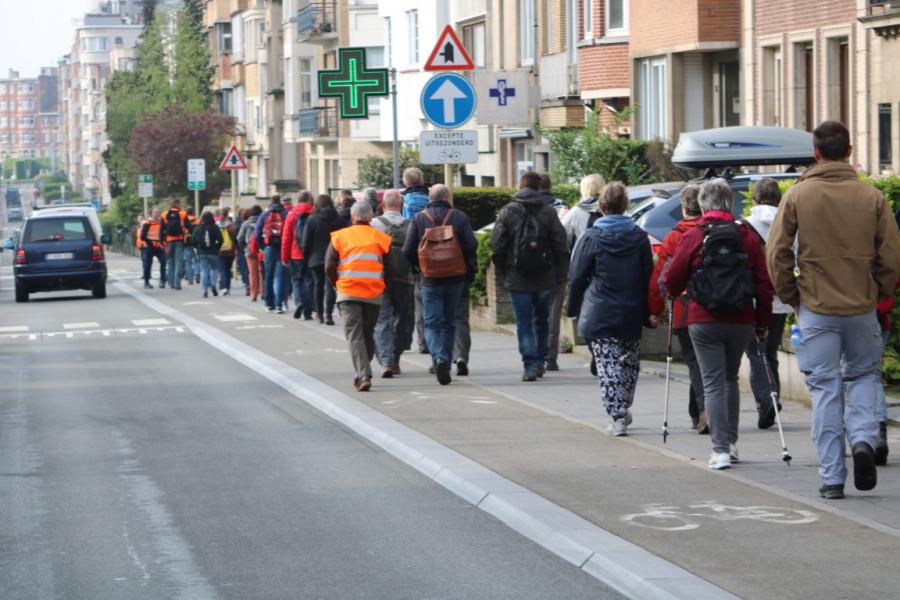 Bedevaart naar Halle © Olivier Vanden Avont