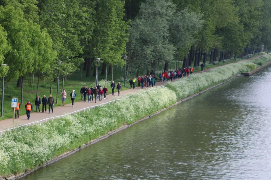 Bedevaart naar Halle © Olivier Vanden Avont