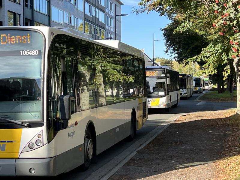 Bus na bus... Veertien bussen waren nodig om de honderden leerlingen en medewerkers van Schoten naar onze Pius X-kerk te brengen. © Dirk Bellens