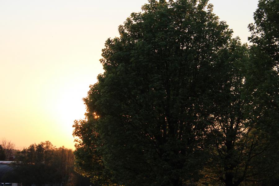 Goede Vrijdag tocht en wake 2019 © ADV