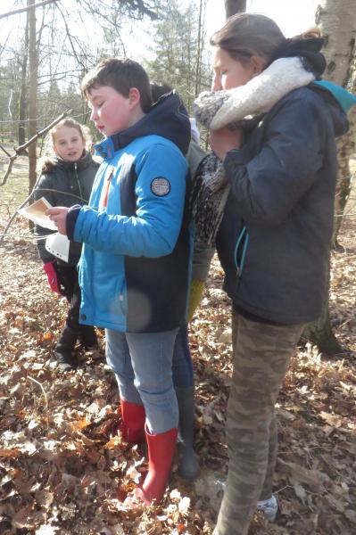 De vormelingen van het Neerland en het Valaar op weekend © Ilse Van Boven