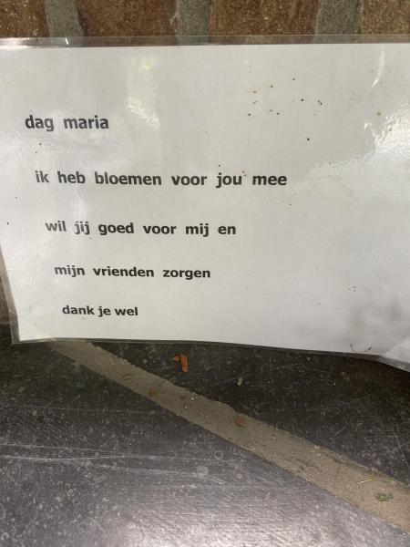 scholenbedevaart 2025 
