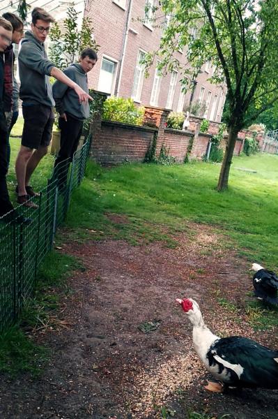 We verwonderden ons aan de gevederde gasten in de tuin van de dekenij. © BVR