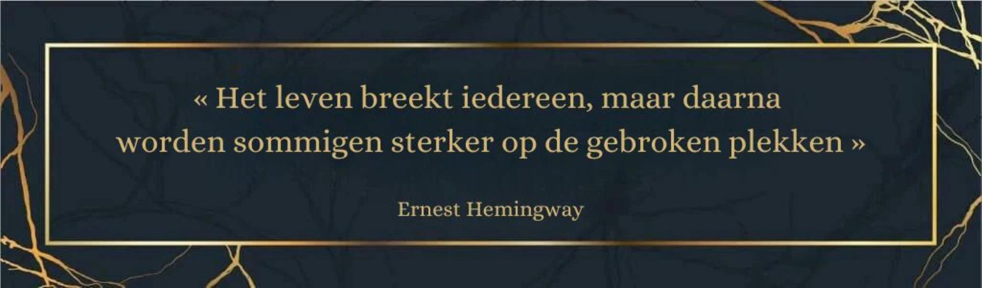 kwetsbaarheid 