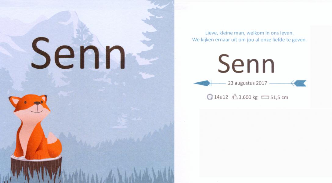 9. Senn 