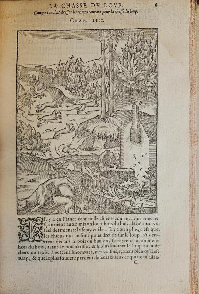 La Chasse du Loup 