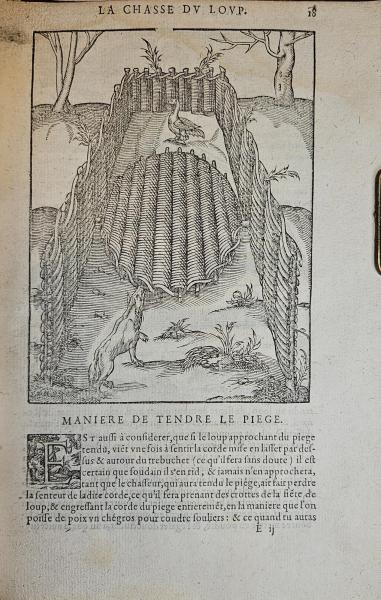 La Chasse du Loup 