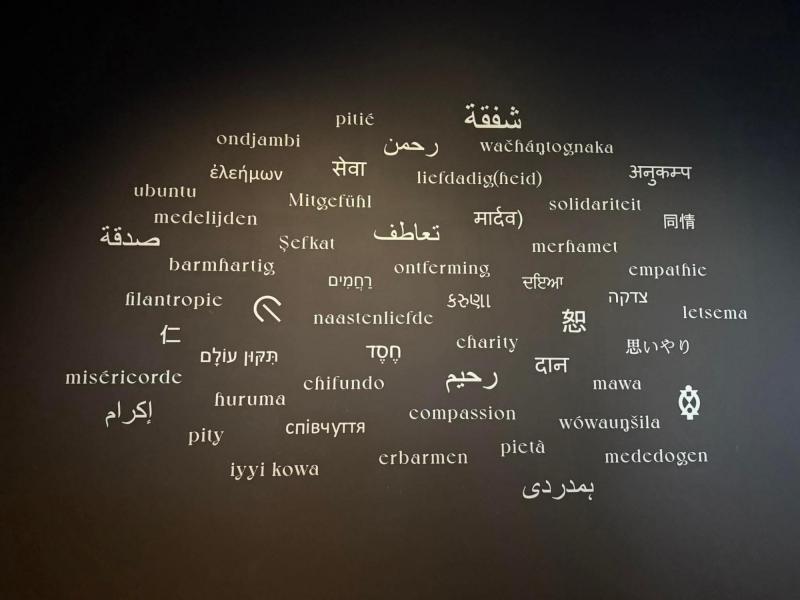 MAS - Tentoonstelling Compassion - 3 juli 2025 © Alexander Vandaele