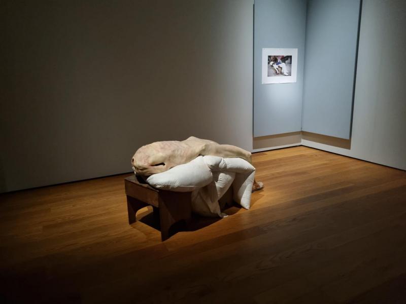 MAS - Tentoonstelling Compassion - 3 juli 2025 © Krista De Vos