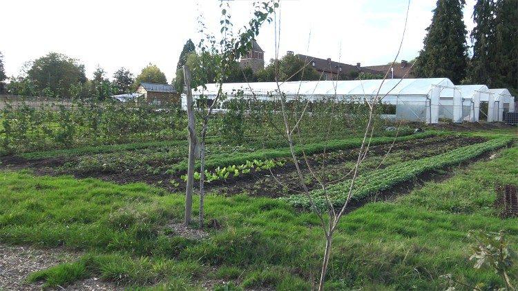 De moestuin bij de Karmel in Mehange © Cathobel/Bisdom Luik