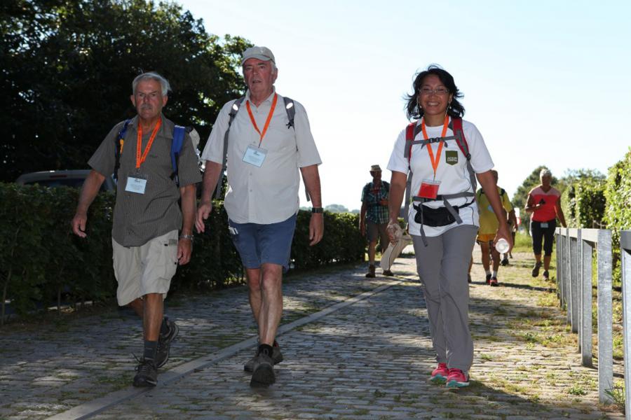 Vierdaagse van de IJzer 