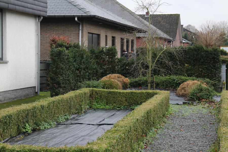Ook geburen ontsnapten niet aan hun gezang. © Jul Vannuffelen