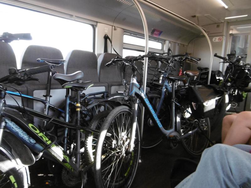 Met de fietsen de trein op - Misdienaarsvierdaagse Bokrijk 2026 © Marc D'Heuvaert