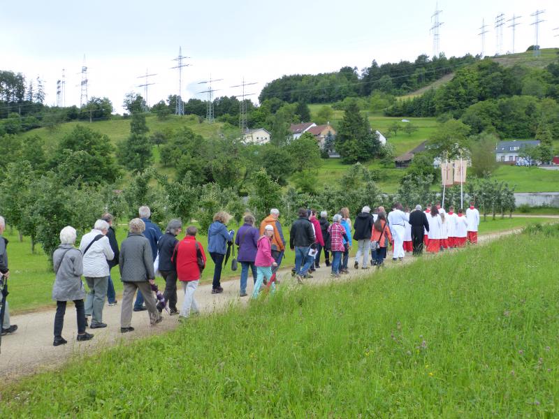 Kruisweg door de velden rondom Gurtweil