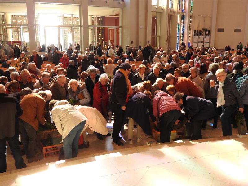 Palmzondag OLV ter Duinenkerk 