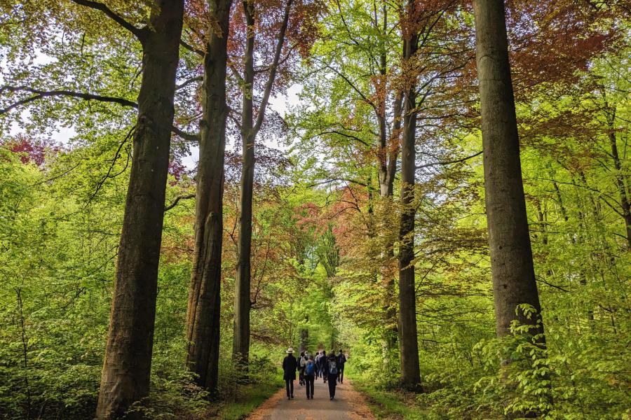Bedevaart naar Basse-Wavre 2023 © Pastorale zone Leuven aan de Dijle