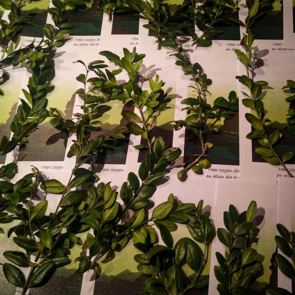 De Palmkaartjes die in de kerken en bij zieken en bejaarden werden verdeeld 