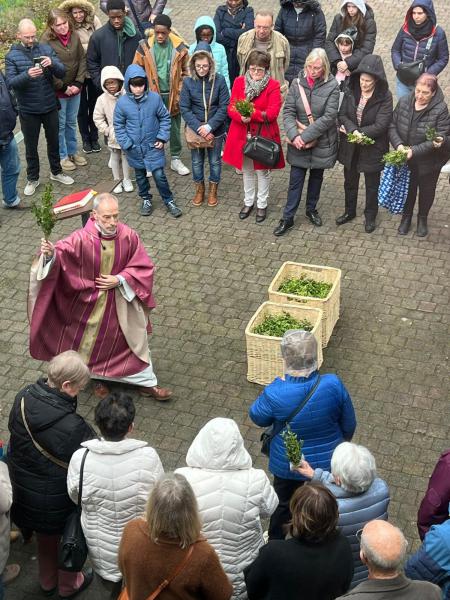 Palmzondag © Danny Van Dorsselaer