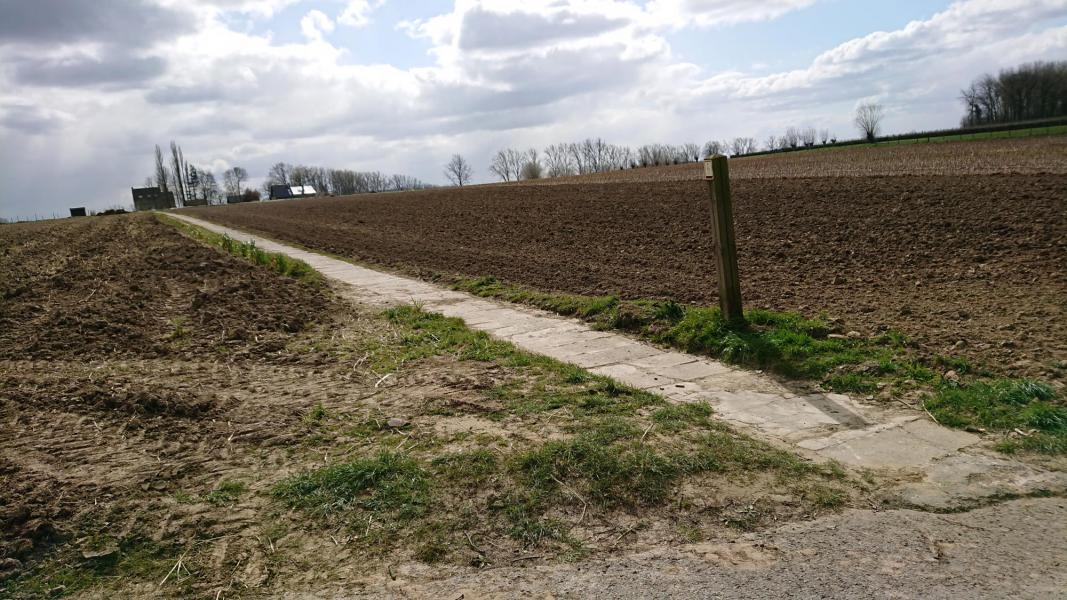 We verlaten de kerk terug in de richting van waaruit we kwamen en gaan links dit pad tussen de velden op 