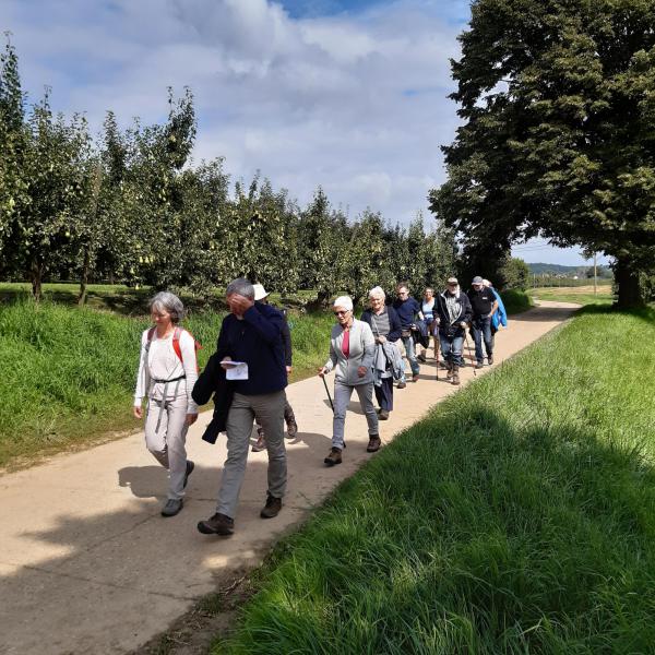 Pelgrimswandeling Alt Hoeselt 