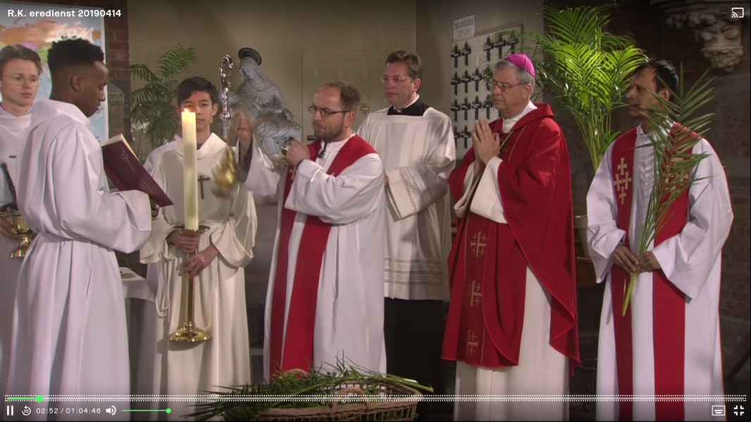 Evangelie voor de wijding van de palmtakken (broeder Marcin) 