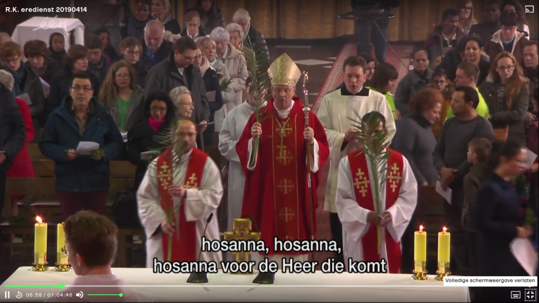 Processie met palmtakken 
