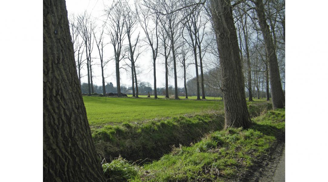 Sint-Valentijn Anders Wandeling 2022 © Federatie Sint-Kruis